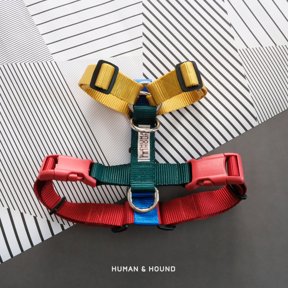 Harness: The Lego - Human & Hound