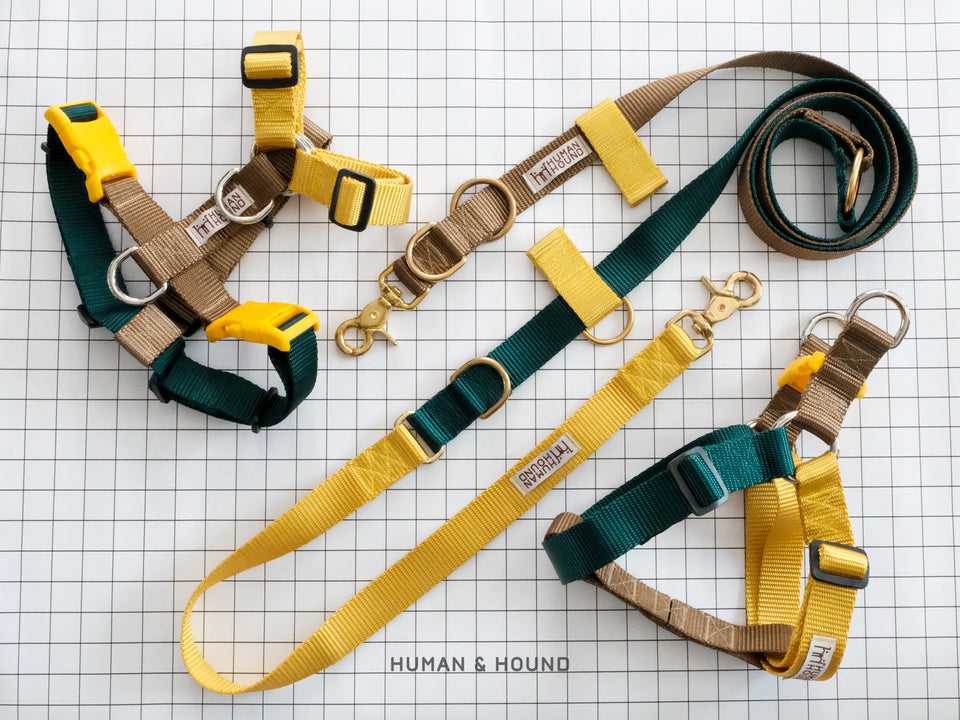 Harness: The Spring Park - Human & Hound
